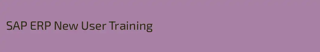 SAP ERP New User Training